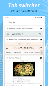 Kiwi Browser Fast & Quiet App 4