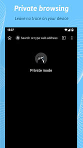 Kiwi Browser Fast & Quiet App 8